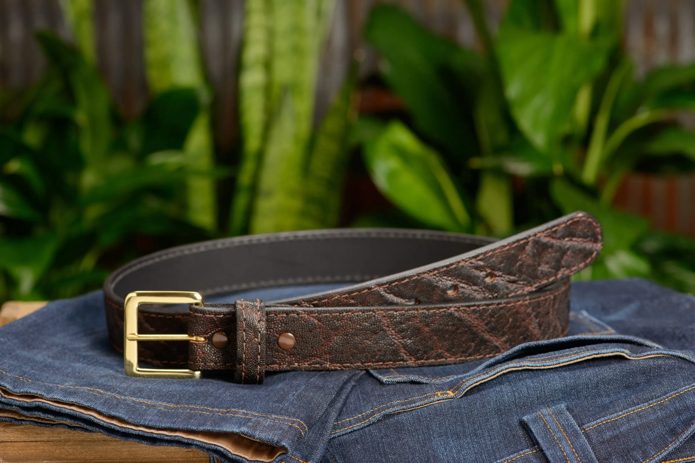 Men's Dark Brown Elephant Leather Belt