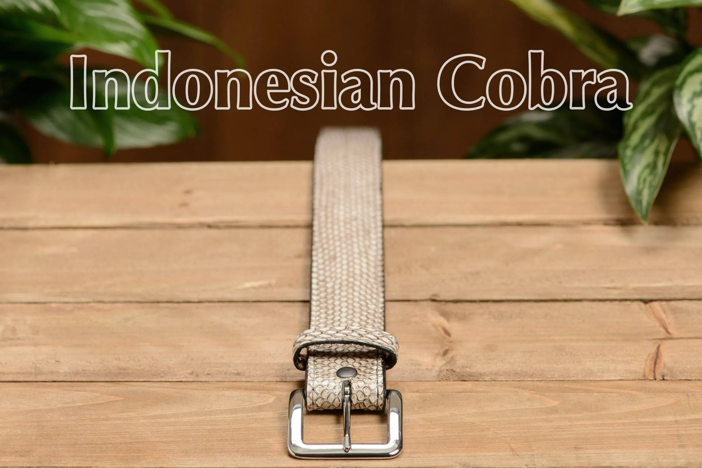 Men's Indonesian Spitting Cobra Leather Belt