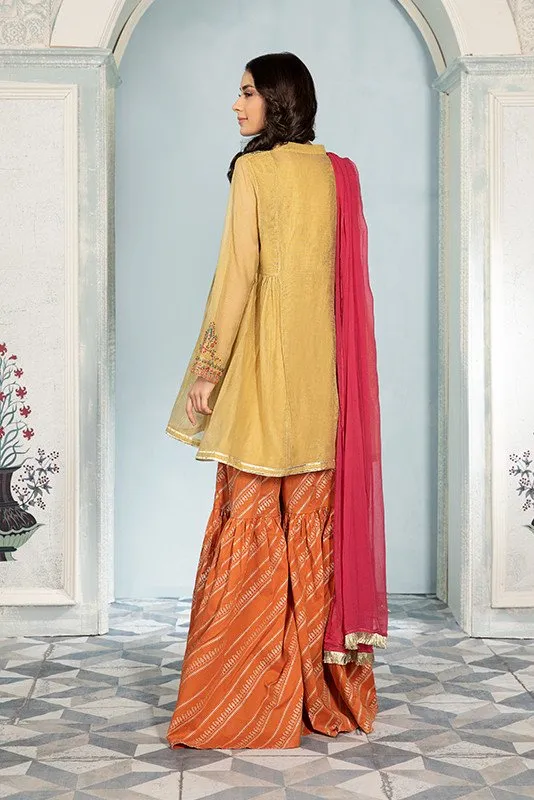 Pakistani Dress in Open Short Frock and Gharara Style