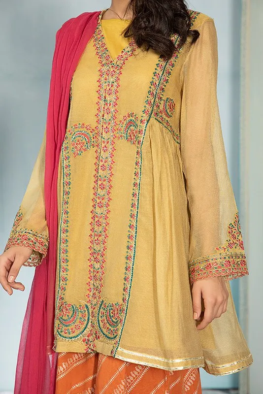 Pakistani Dress in Open Short Frock and Gharara Style
