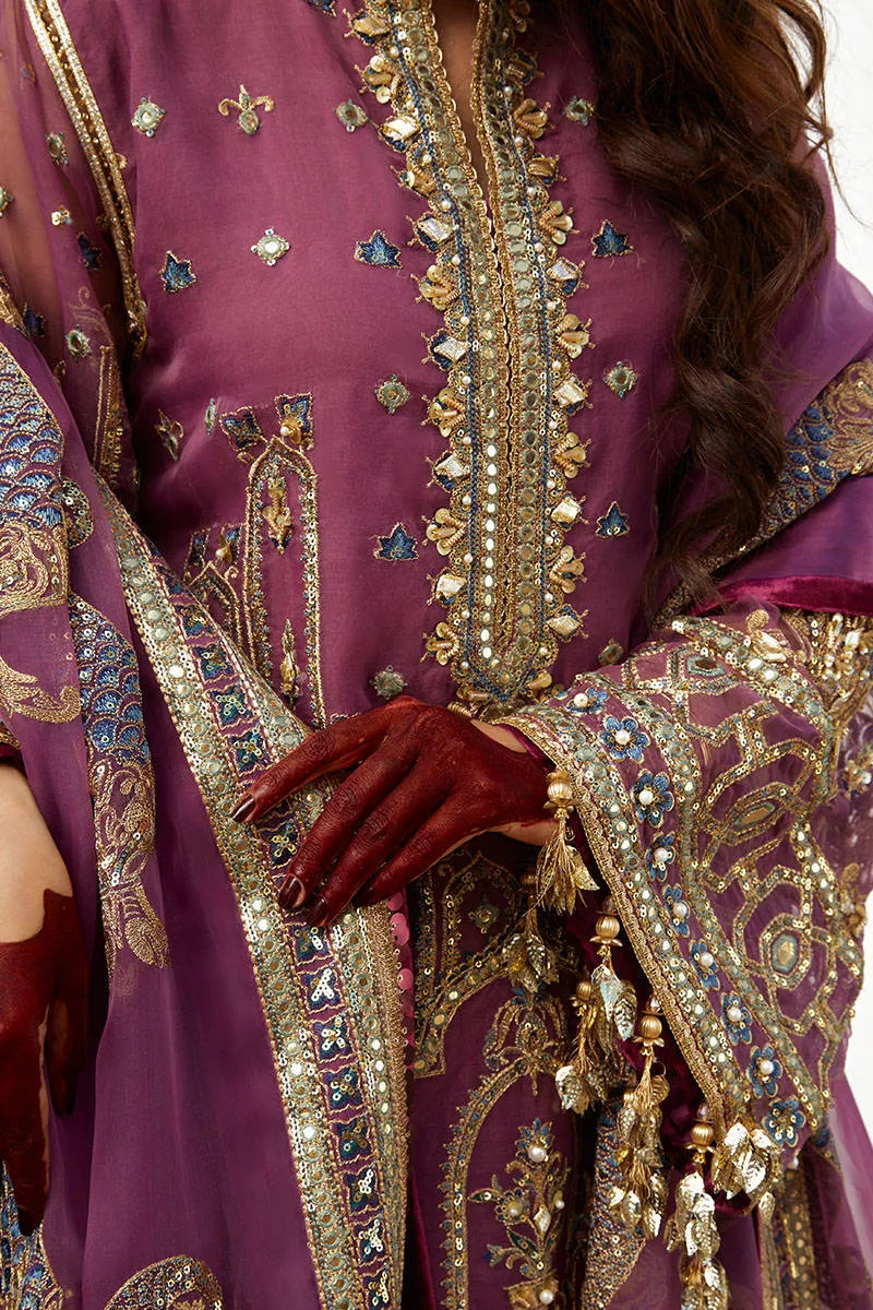 Pakistani Wedding Gharara Dress in Premium Organza