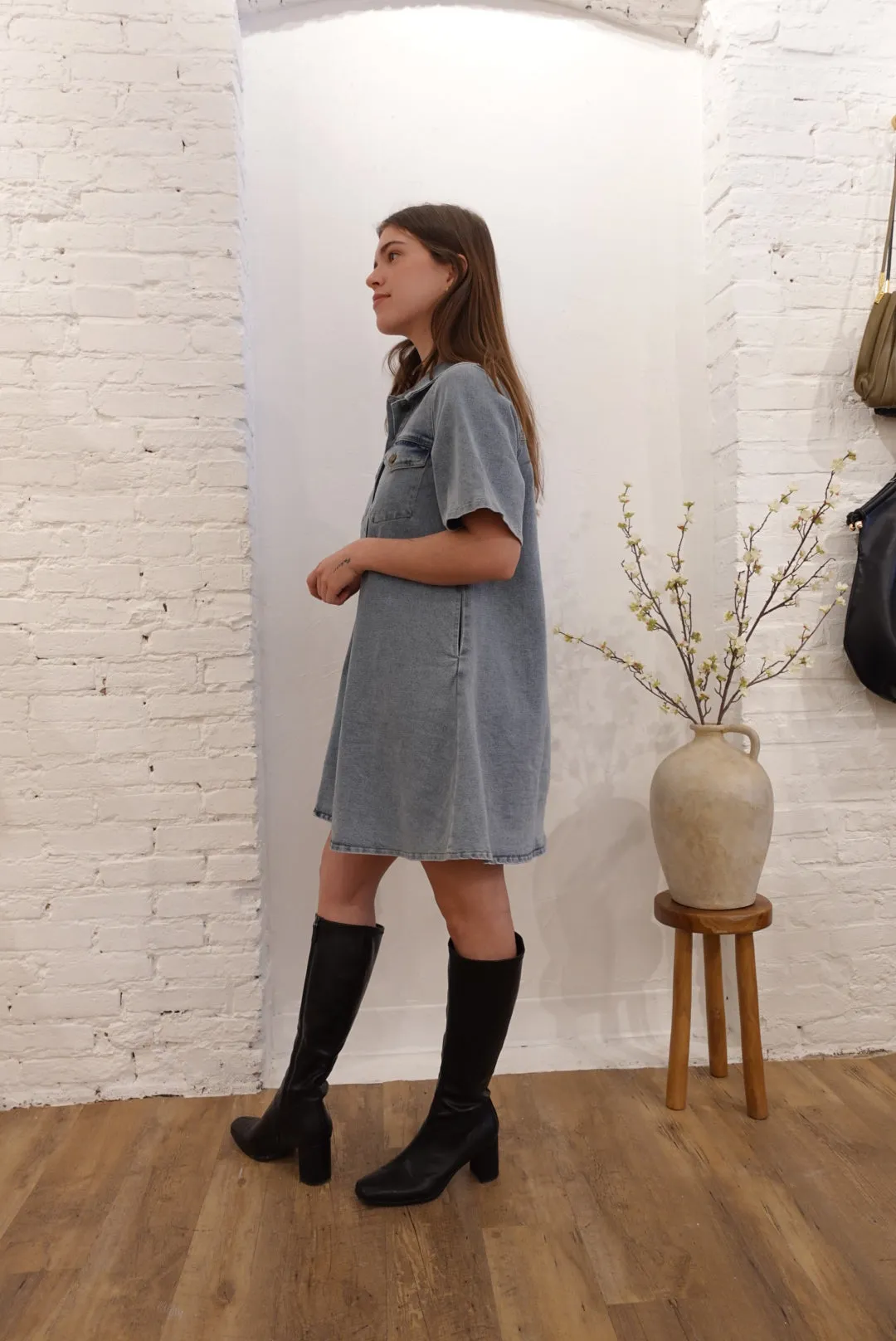 Paloma Denim Dress