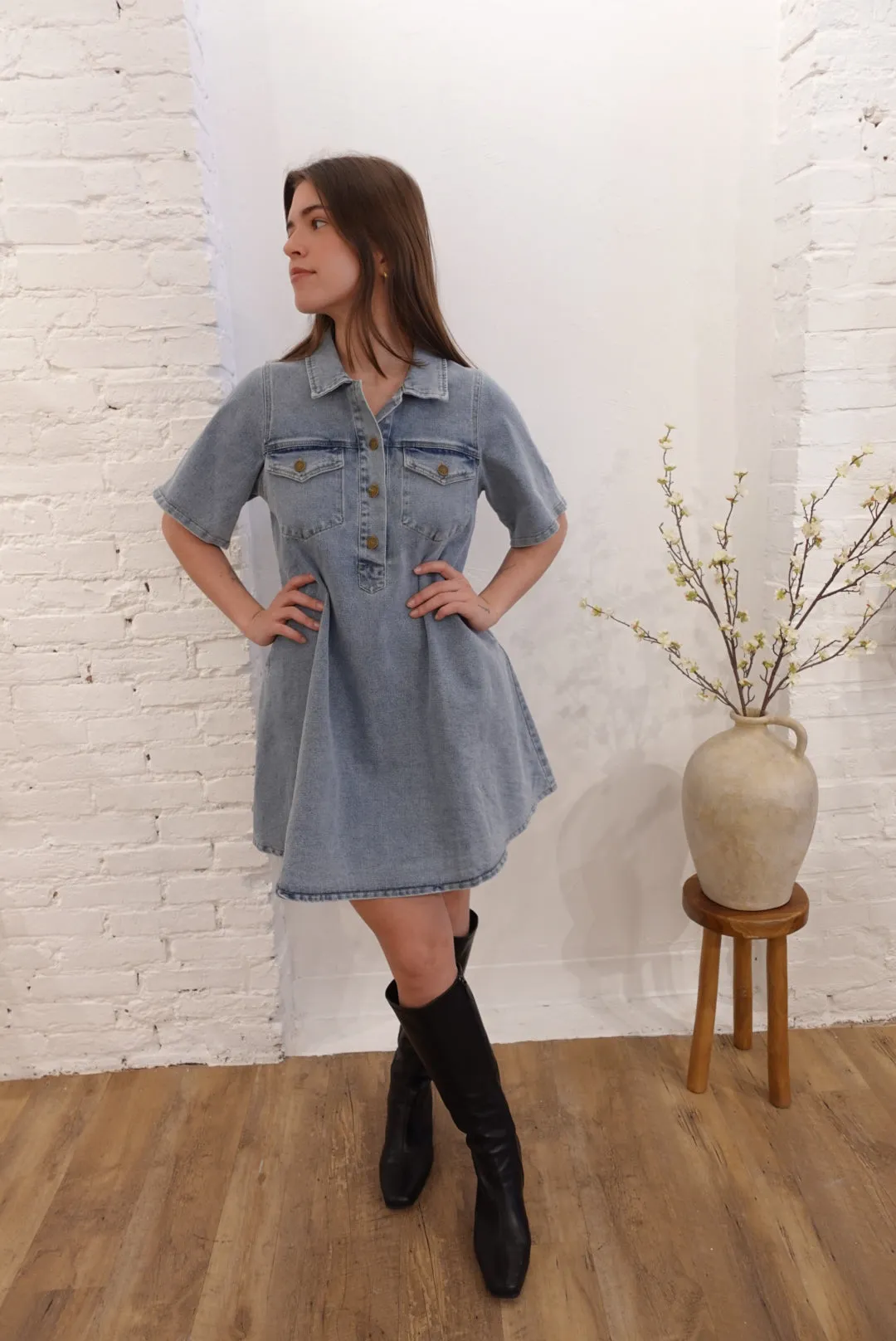 Paloma Denim Dress