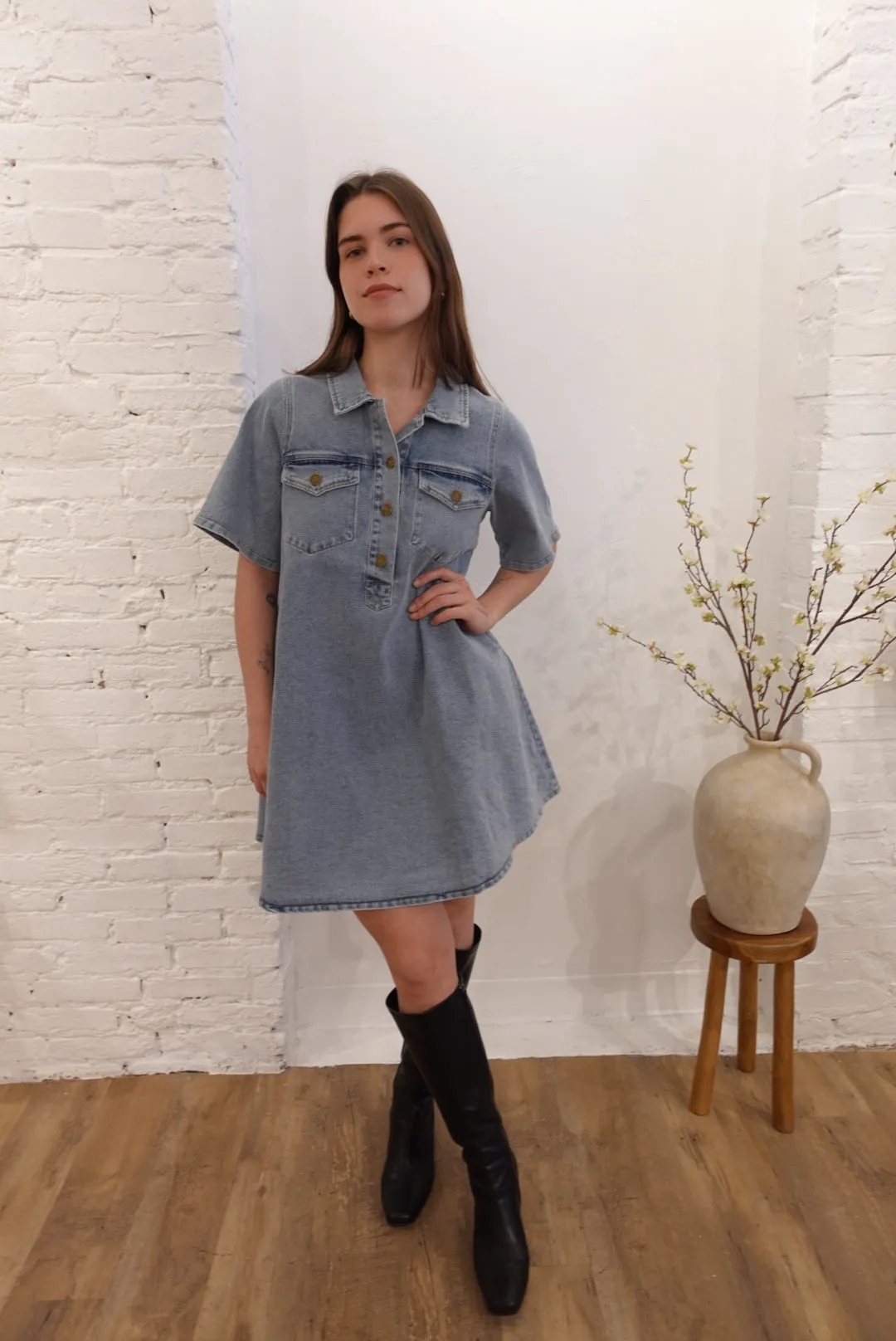 Paloma Denim Dress
