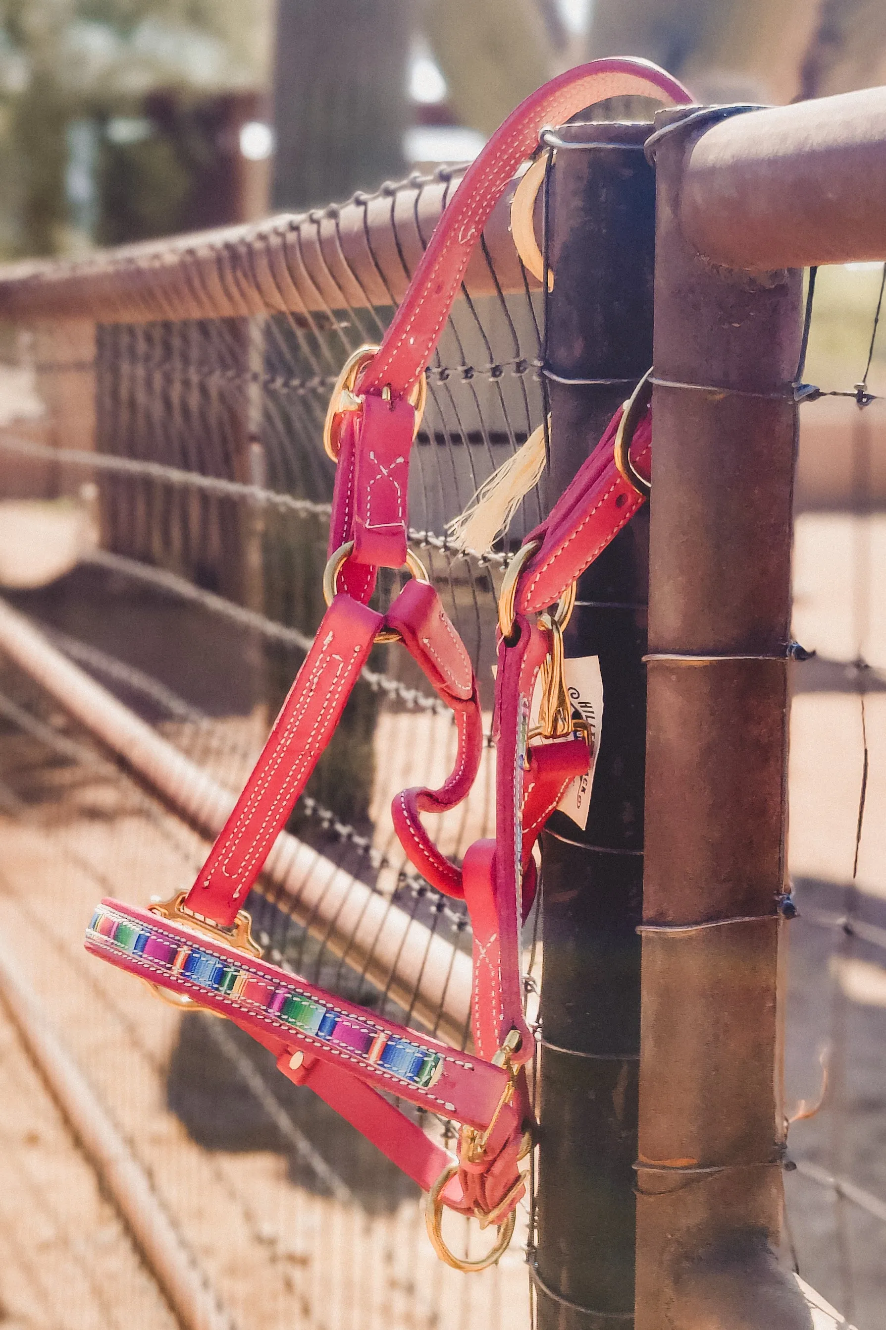 Pink Serape Leather Halter