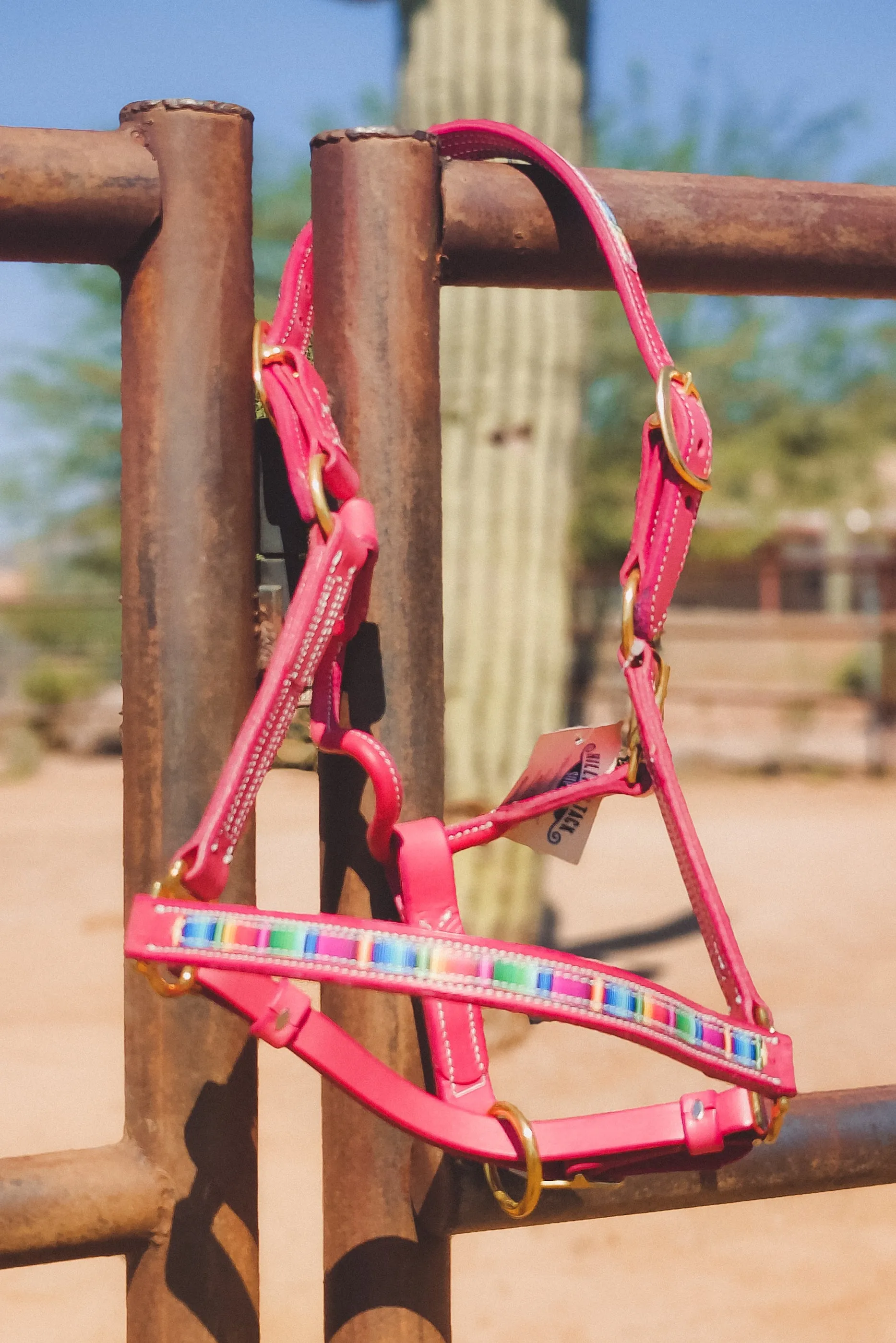 Pink Serape Leather Halter