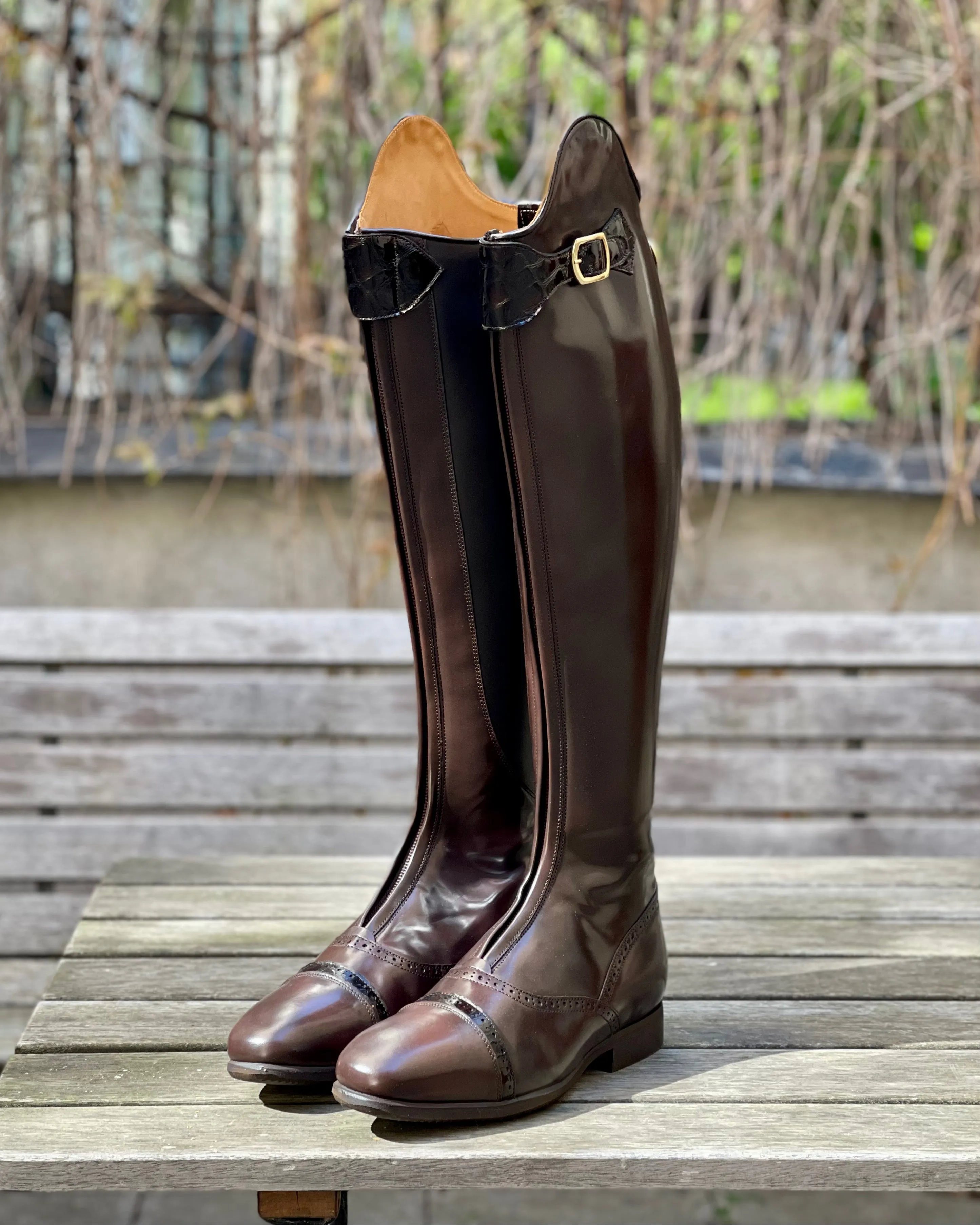 Polished Brown