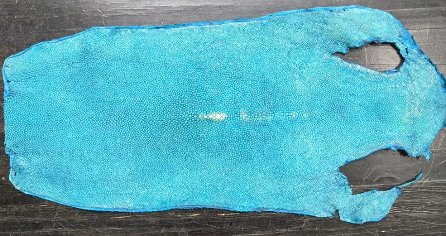 Polished Stingray
