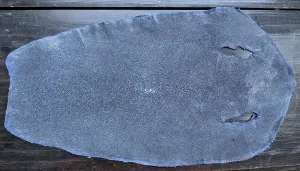 Polished Stingray