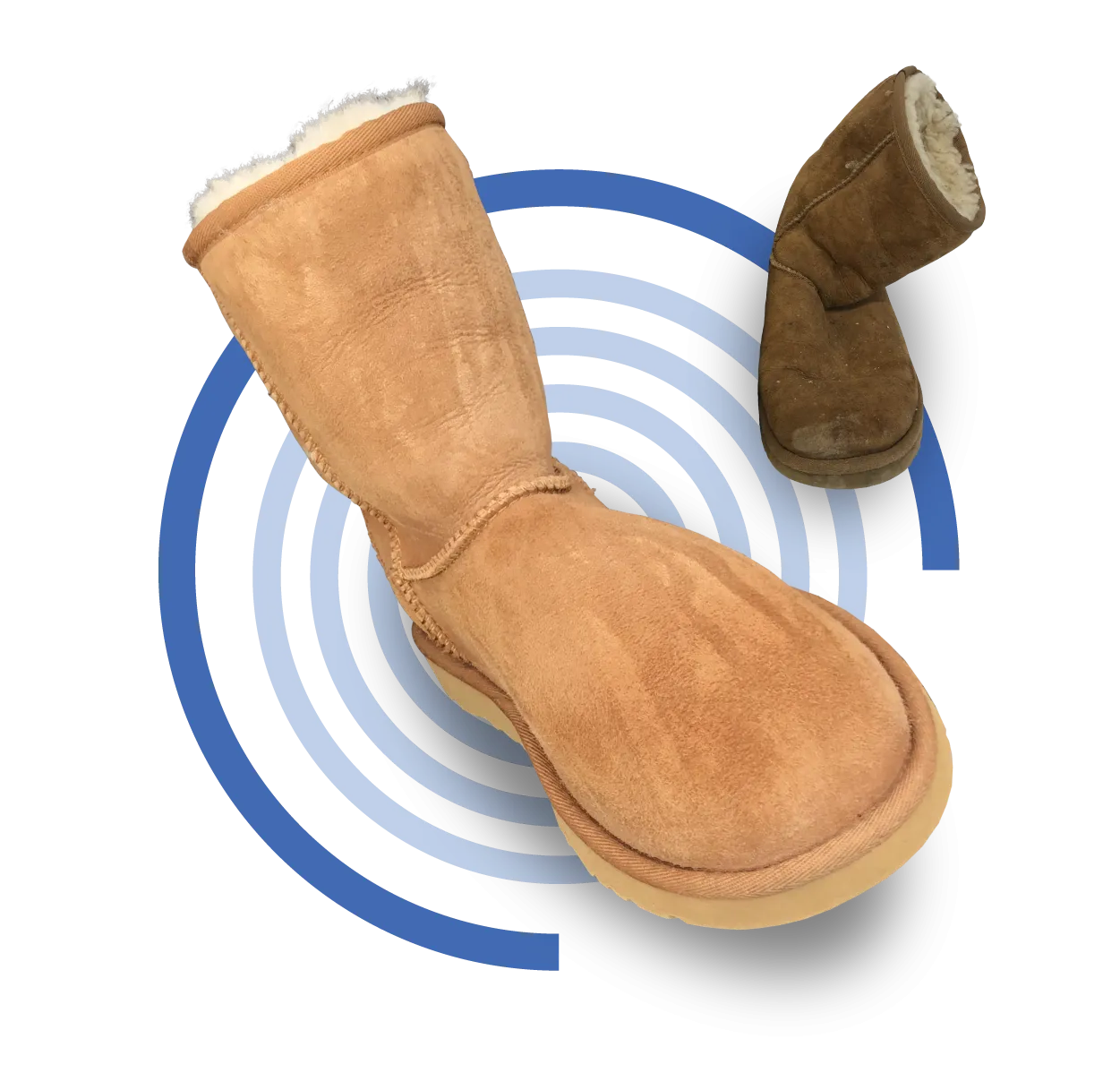 Premium Clean  (£47)