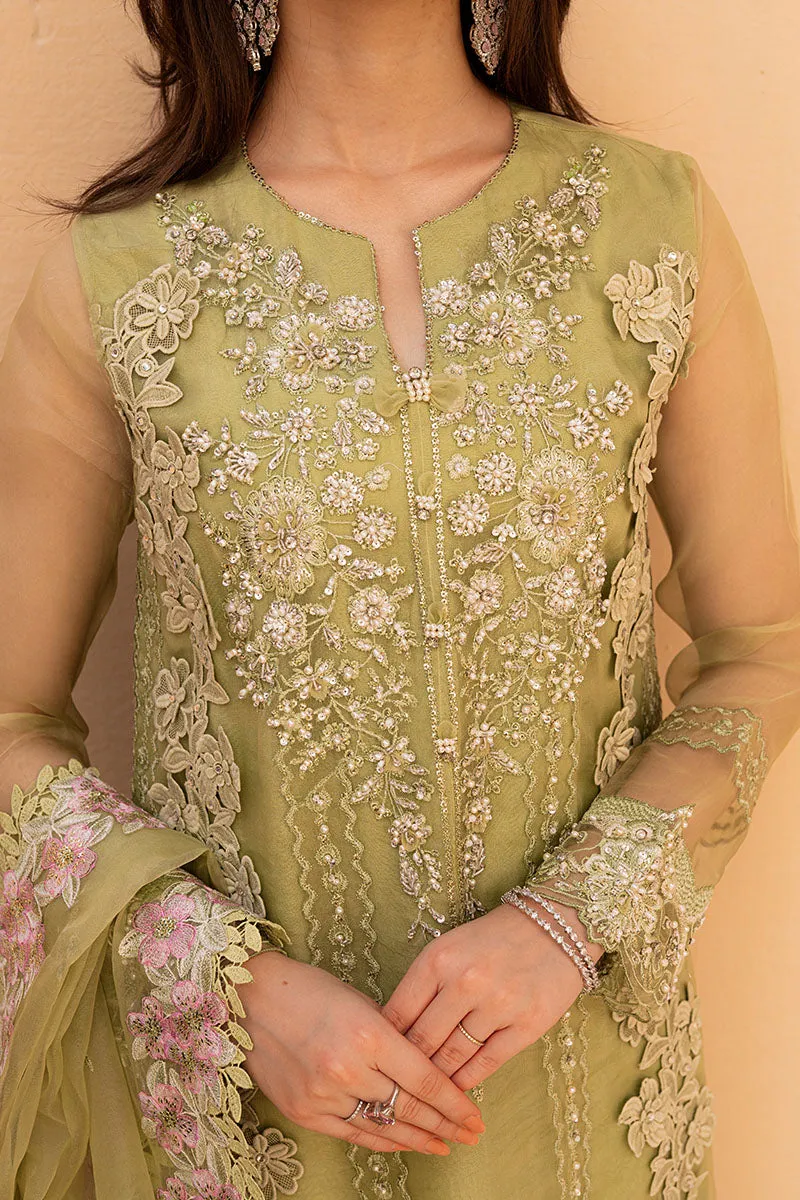Premium Kameez Trouser Dupatta Pakistani Wedding Dress