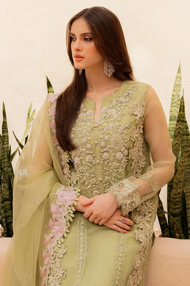 Premium Kameez Trouser Dupatta Pakistani Wedding Dress