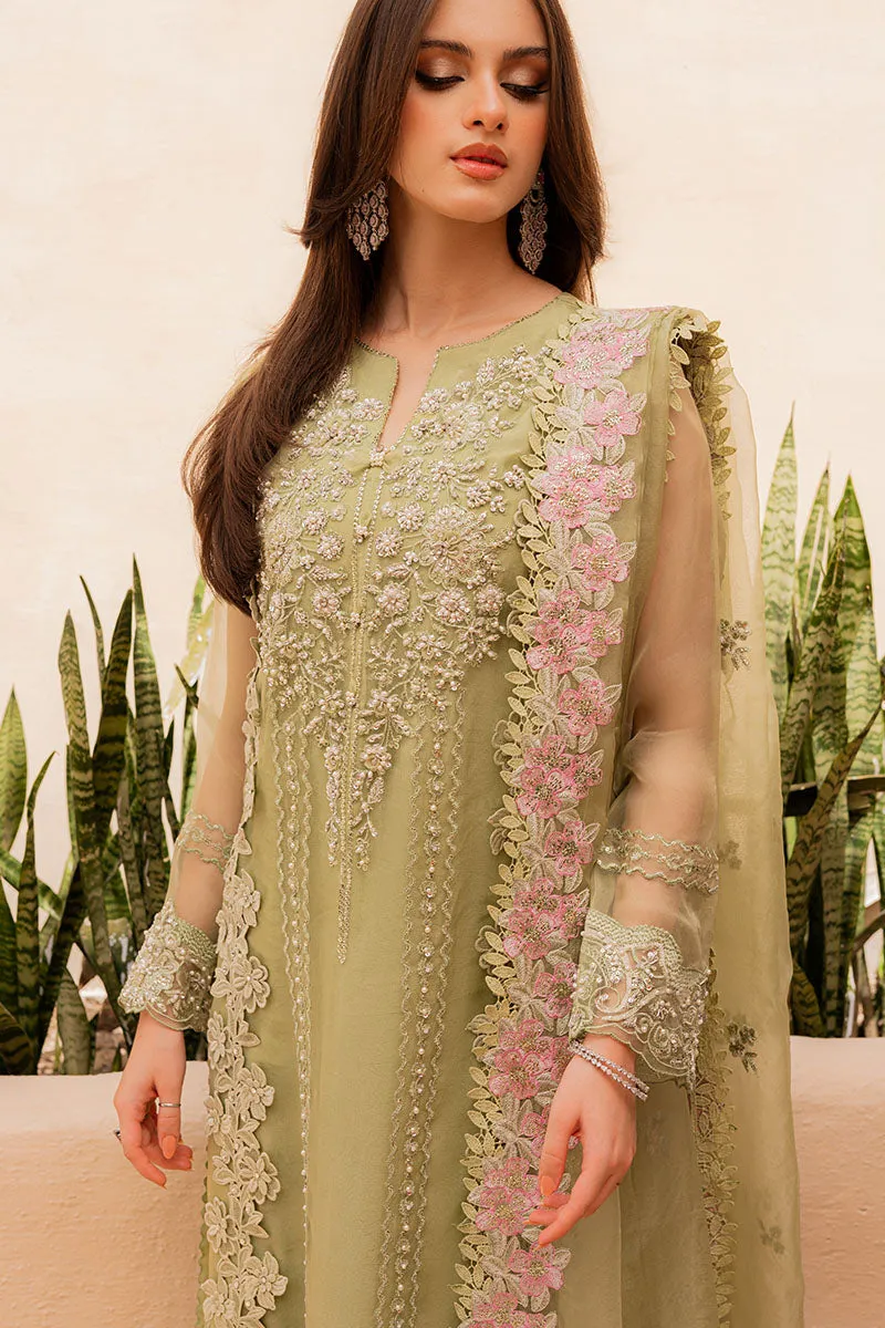 Premium Kameez Trouser Dupatta Pakistani Wedding Dress