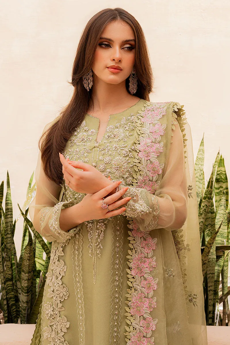 Premium Kameez Trouser Dupatta Pakistani Wedding Dress