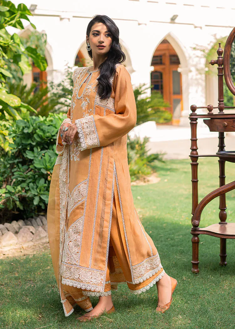 Premium Orange Pakistani Dress in Salwar Kameez Style