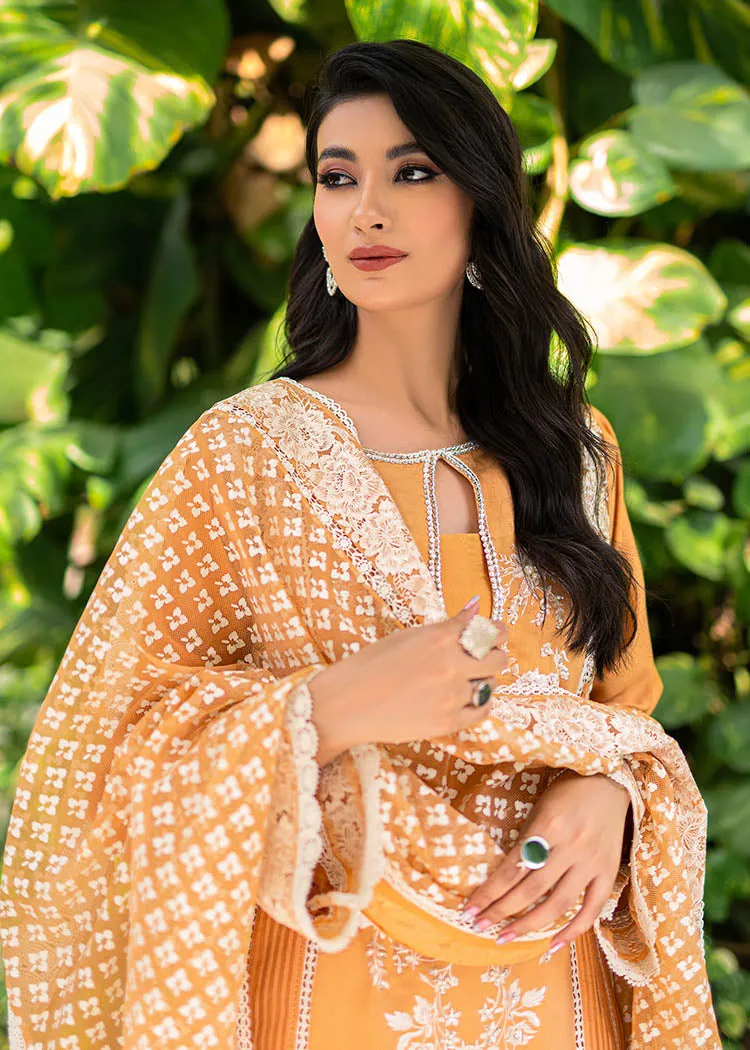 Premium Orange Pakistani Dress in Salwar Kameez Style