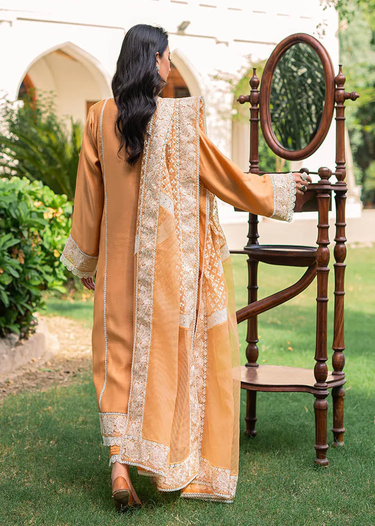 Premium Orange Pakistani Dress in Salwar Kameez Style