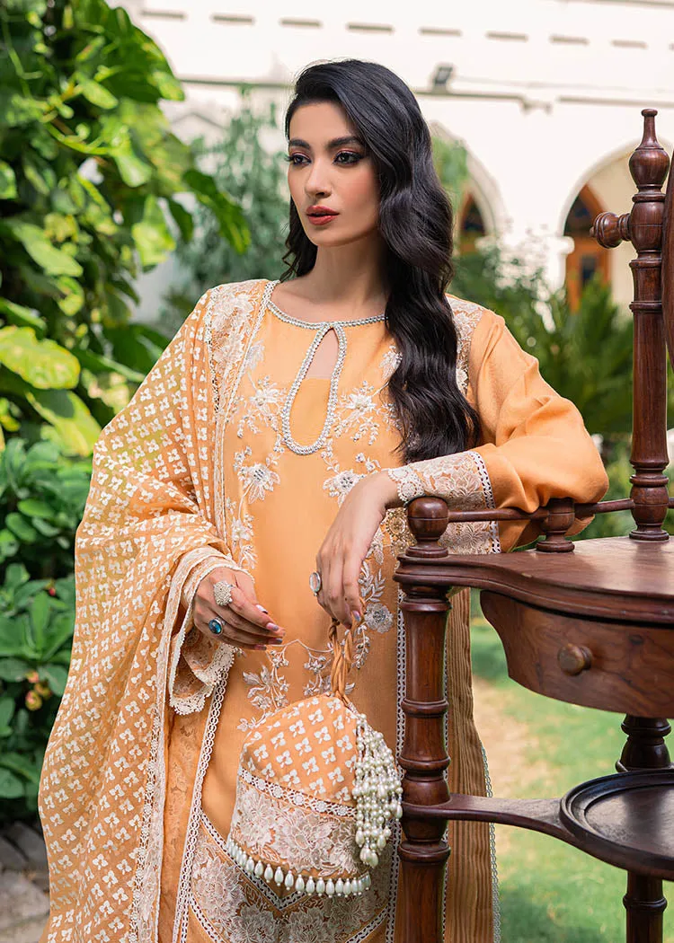 Premium Orange Pakistani Dress in Salwar Kameez Style