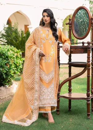 Premium Orange Pakistani Dress in Salwar Kameez Style
