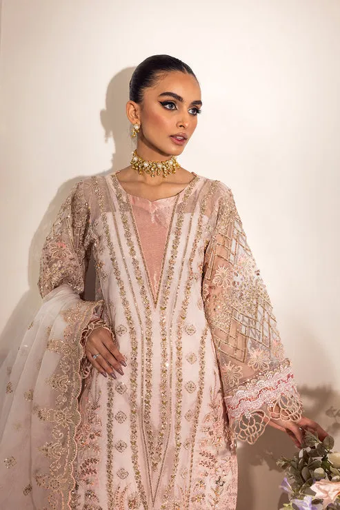 Premium Pakistani Party Dress in Organza Kameez Style