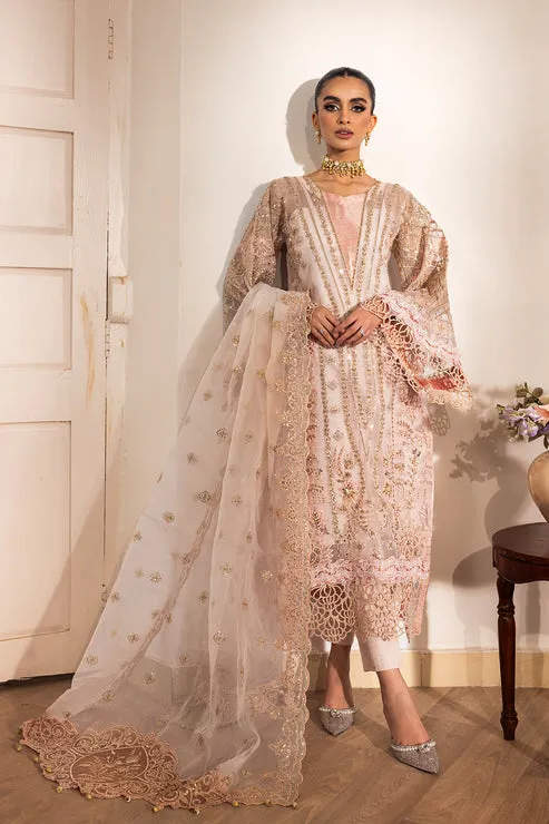 Premium Pakistani Party Dress in Organza Kameez Style