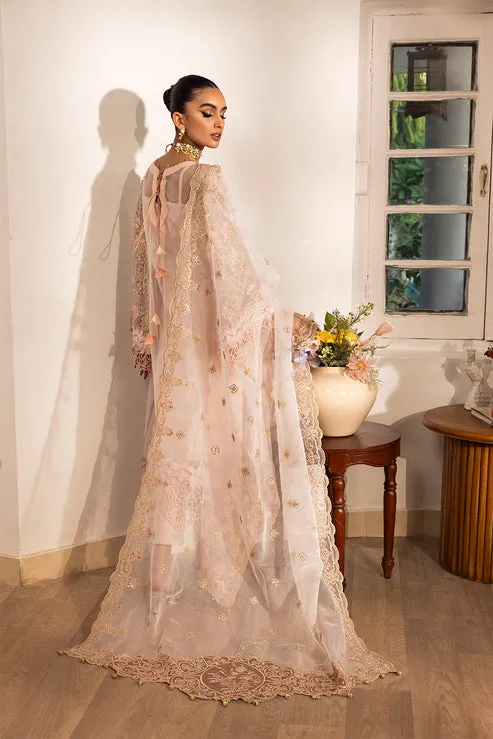 Premium Pakistani Party Dress in Organza Kameez Style