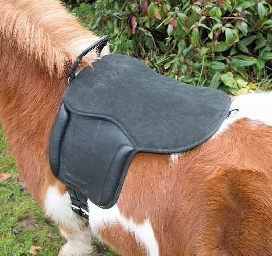 Shires Aviemore Pony Pad