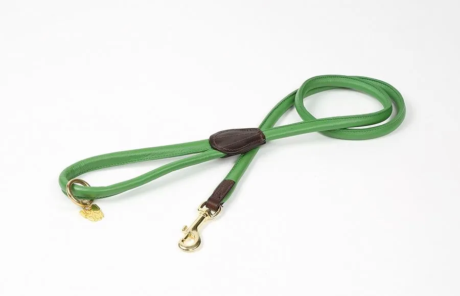 Shires Digby & Fox Rolled Leather Dog Lead
