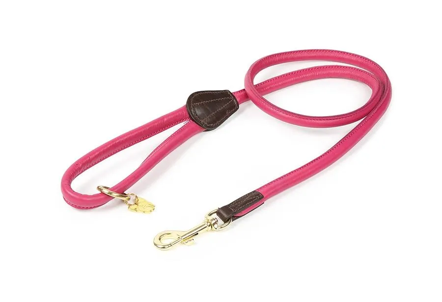 Shires Digby & Fox Rolled Leather Dog Lead