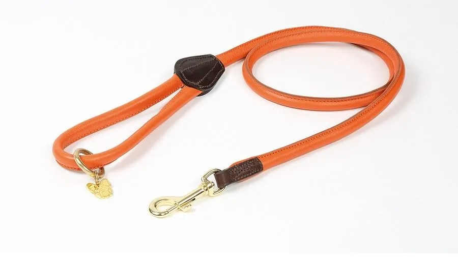 Shires Digby & Fox Rolled Leather Dog Lead
