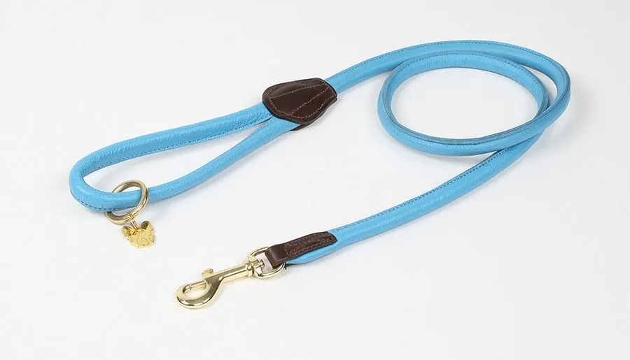 Shires Digby & Fox Rolled Leather Dog Lead