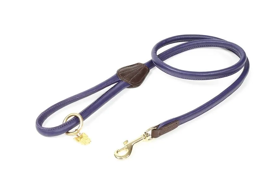 Shires Digby & Fox Rolled Leather Dog Lead