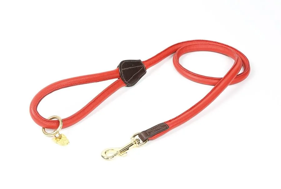 Shires Digby & Fox Rolled Leather Dog Lead