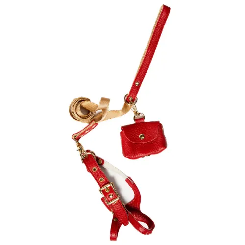 Soft Leather Step-in Harness & Nylon Lead Set — Red
