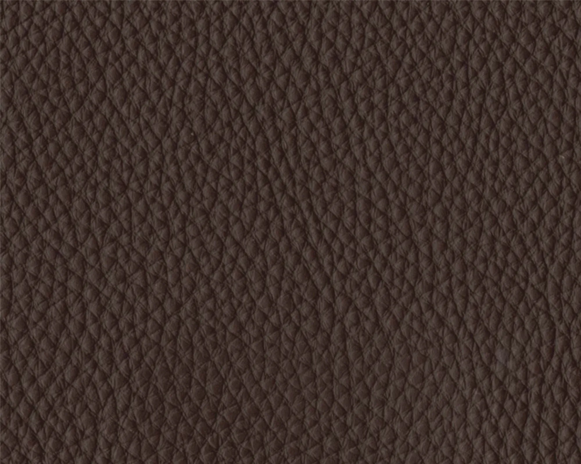 Thor Leather - 306