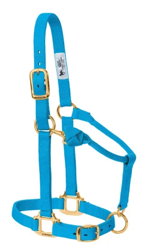 Weaver Non-Adjustable Nylon Halter- Hurricane Blue