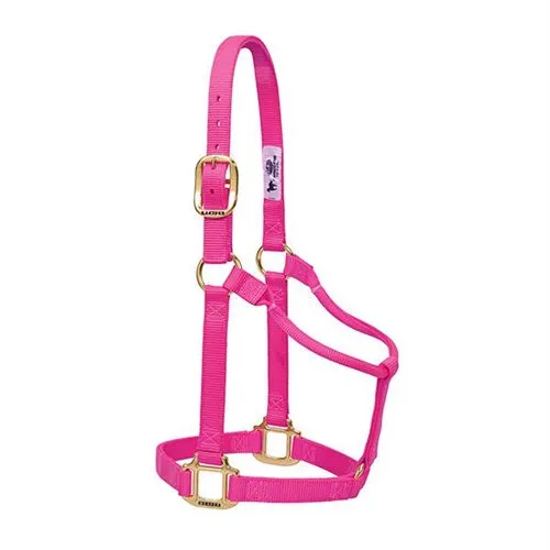 Weaver Non-Adjustable Nylon Halter-Multiple Colors