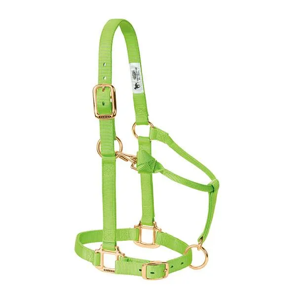 Weaver Non-Adjustable Nylon Halter-Multiple Colors