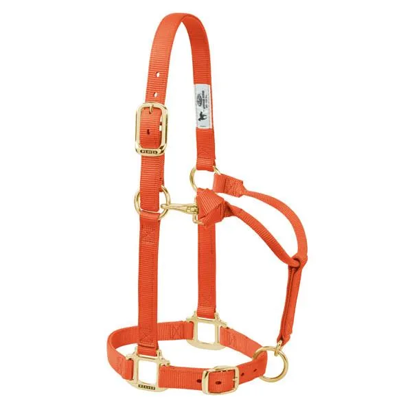 Weaver Non-Adjustable Nylon Halter-Multiple Colors