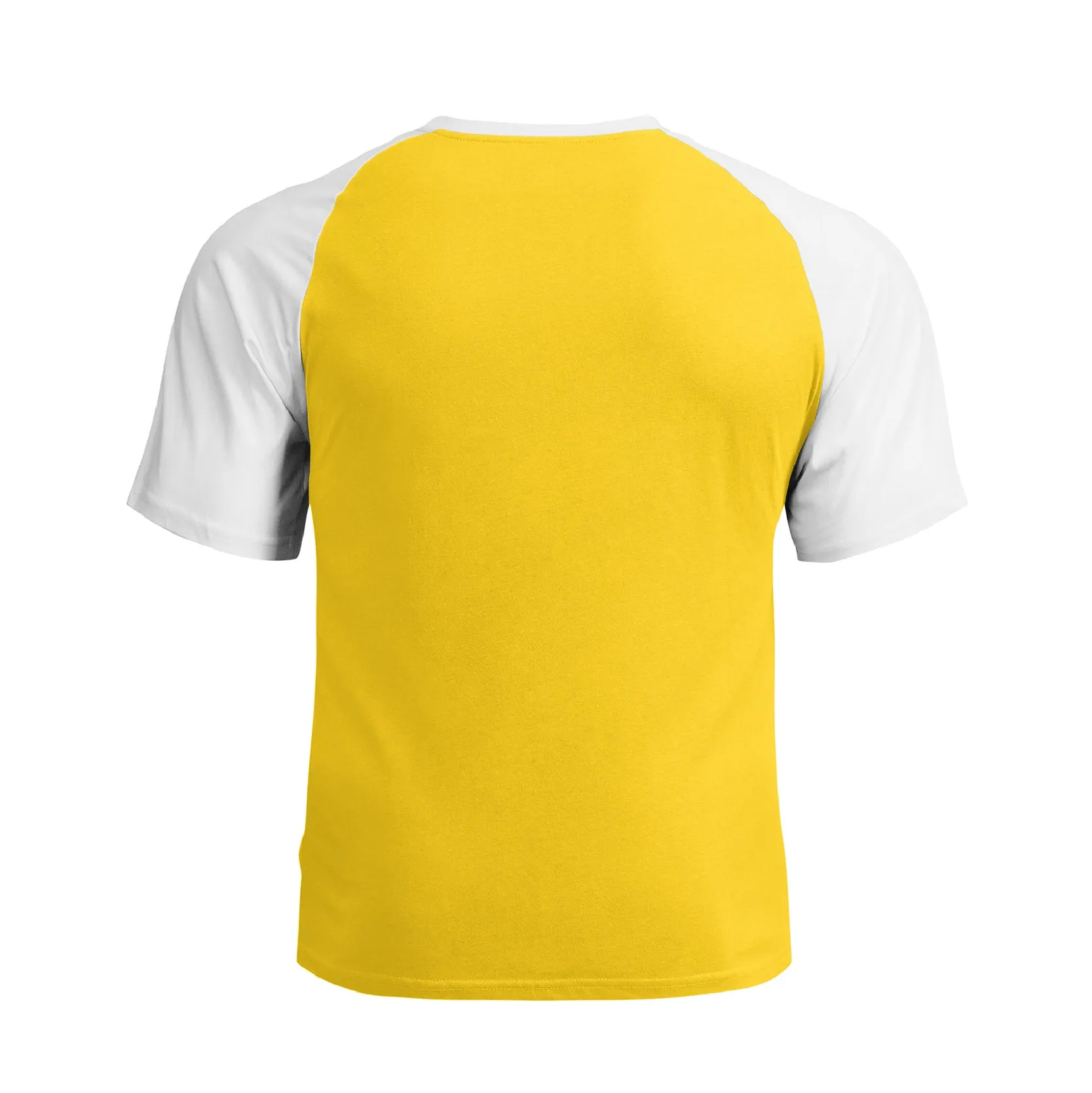 WHY SO SIRIUS RAGLAN GRAPHIC TEE